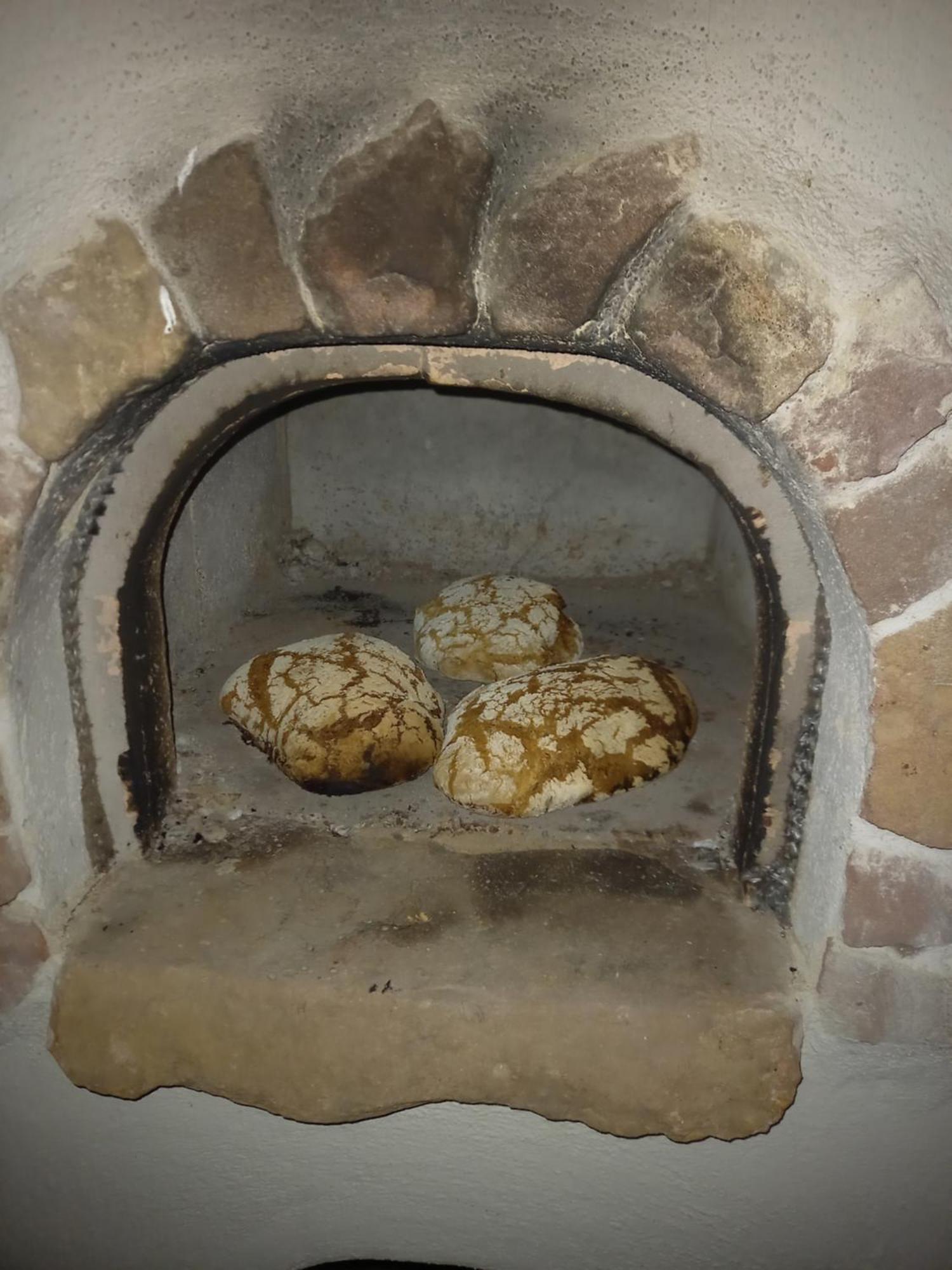 Wickys Igelnest Daire Malsch  Dış mekan fotoğraf