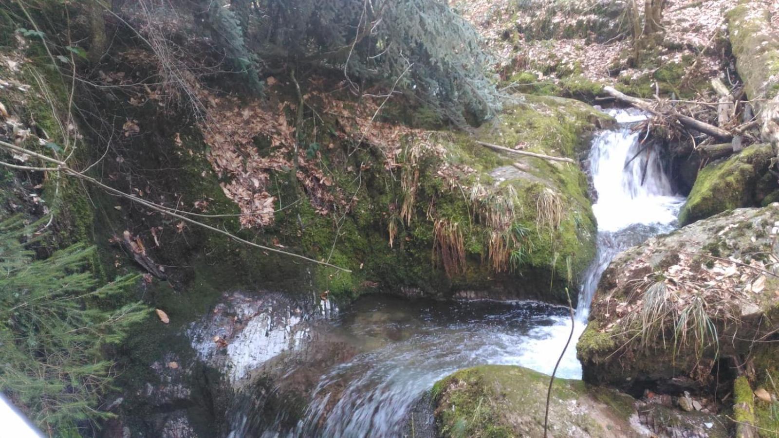 Wickys Igelnest Daire Malsch  Dış mekan fotoğraf