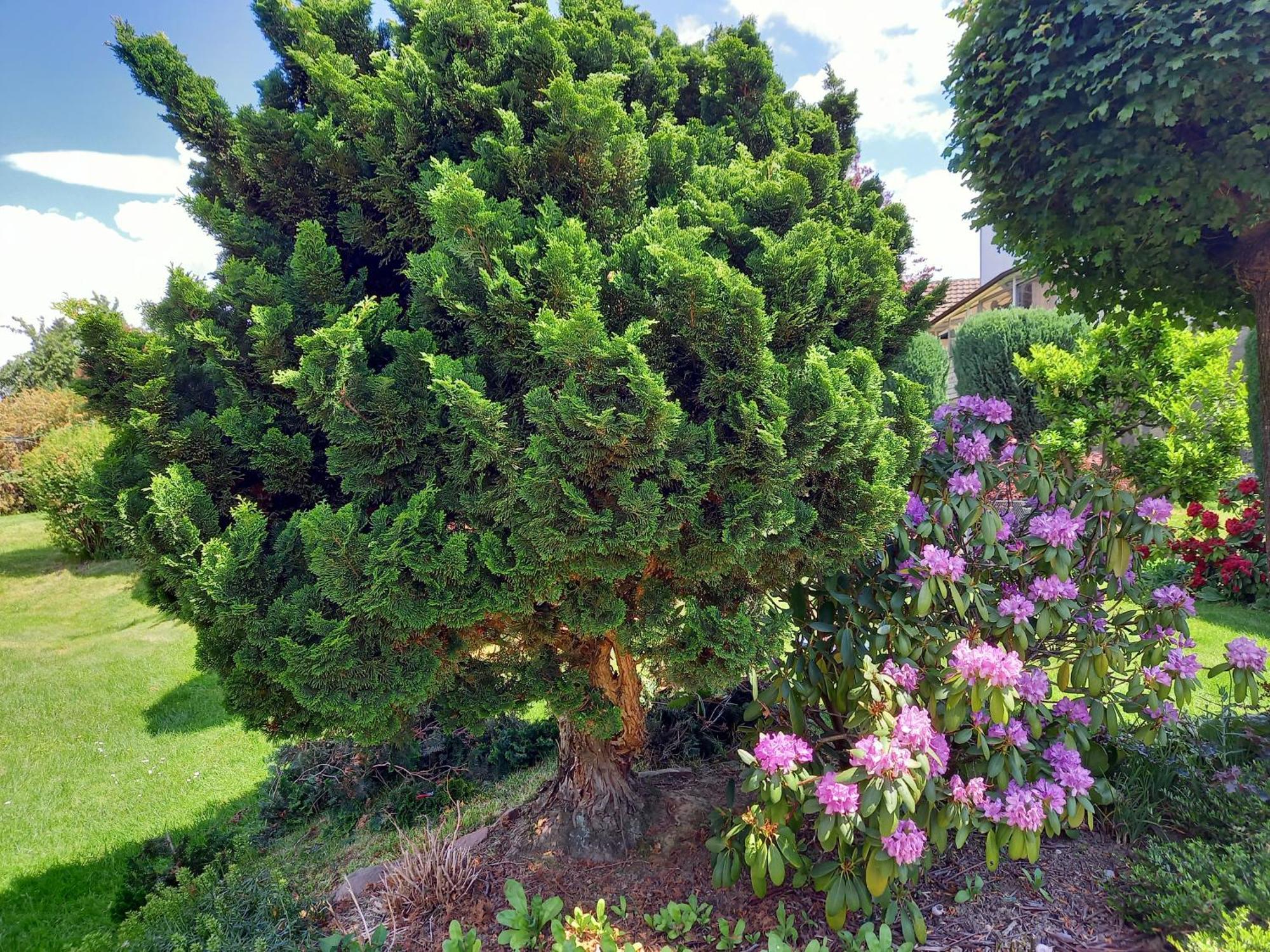 Wickys Igelnest Daire Malsch  Dış mekan fotoğraf